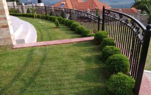 WhatsApp Image 2026-02-02 at 15.00.59