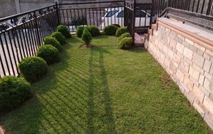 WhatsApp Image 2026-02-02 at 15.01.01 (1)