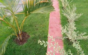 WhatsApp Image 2026-02-02 at 15.01.02