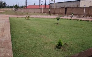 WhatsApp Image 2026-02-02 at 15.02.10