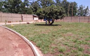 WhatsApp Image 2026-02-02 at 15.02.13