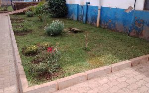 WhatsApp Image 2026-02-02 at 15.02.15