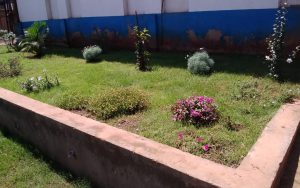 WhatsApp Image 2026-02-02 at 15.02.18