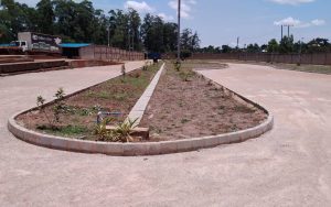 WhatsApp Image 2026-02-02 at 15.02.20