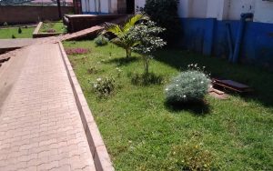 WhatsApp Image 2026-02-02 at 15.02.28