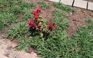 WhatsApp Image 2026-02-02 at 15.02.31