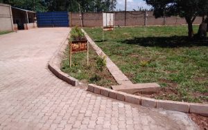 WhatsApp Image 2026-02-02 at 15.02.54