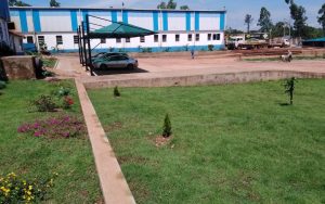 WhatsApp Image 2026-02-02 at 15.02.55