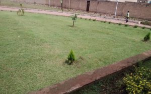 WhatsApp Image 2026-02-02 at 15.02.57