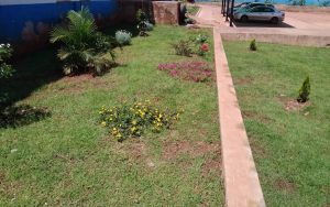 WhatsApp Image 2026-02-02 at 15.02.58