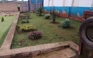 WhatsApp Image 2026-02-02 at 15.03.00