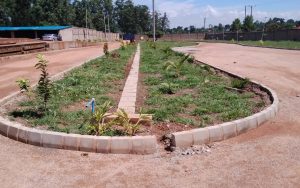 WhatsApp Image 2026-02-02 at 15.03.01