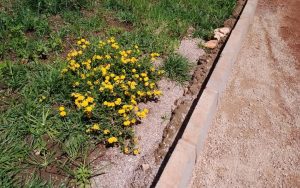 WhatsApp Image 2026-02-02 at 15.03.02