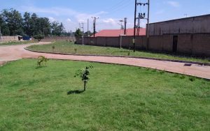 WhatsApp Image 2026-02-02 at 15.03.04