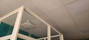 Ceiling 5